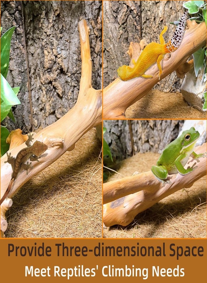 كاثسون غصنان لتسلق الثعابين من كاثرون، زينة أغصان خشبية للزواحف، إكسسوارات تسلق خشبية مصقولة طبيعية للسحالي، زينة جذوع الأشجار لأحواض الزواحف، مناسبة للتنانين الملتحية، والوزغات، والحرباء، والضفادع. - Image 5